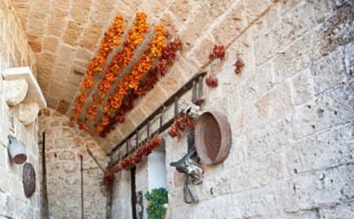 Apulia: Guided Vineyard Tour with Wine Tasting
