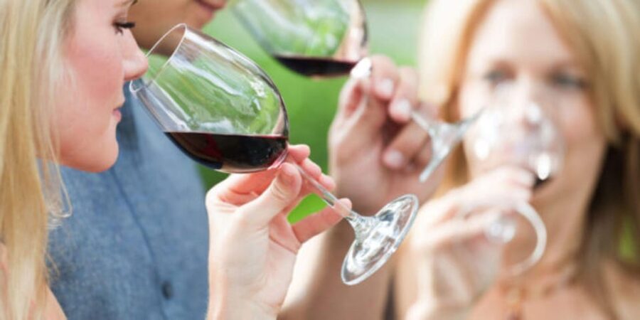 Apulia: Guided Vineyard Tour with Wine Tasting - Planning the visit from Strada Noci, 314