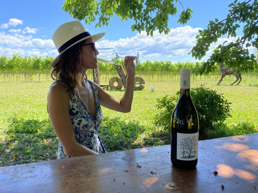 Aquileia: Winery Tour and Tasting - Key points to know before you book