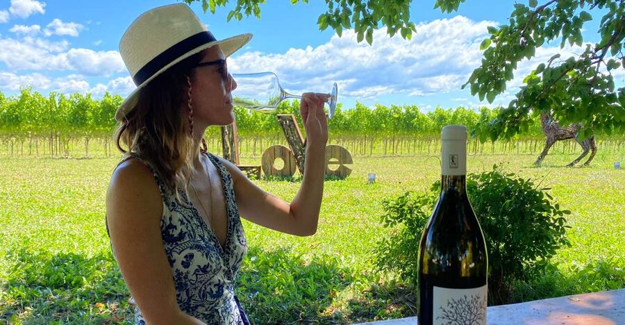 Aquileia: Winery Tour and Tasting - Why Aquileia makes a good wine stop
