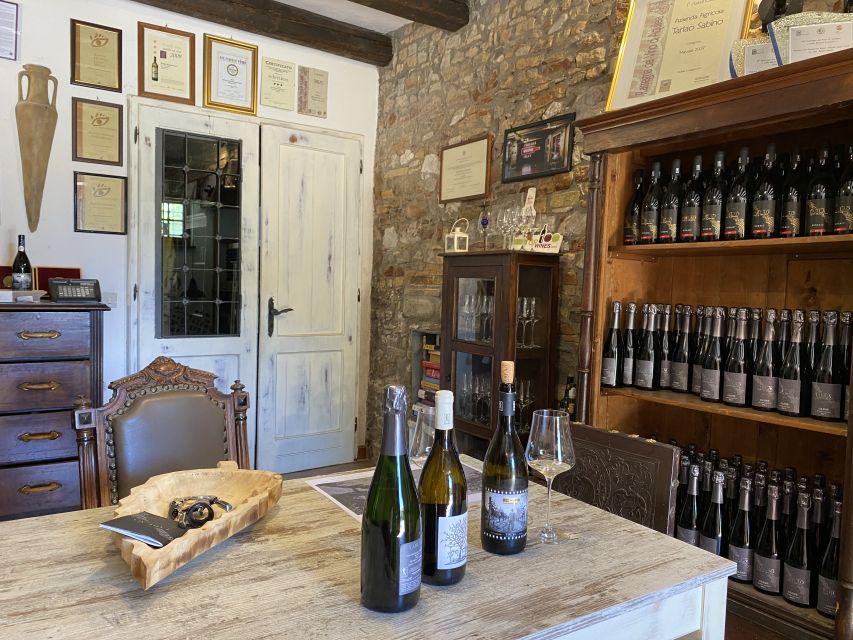 Aquileia: Winery Tour and Tasting - Tasting five wines with local snacks