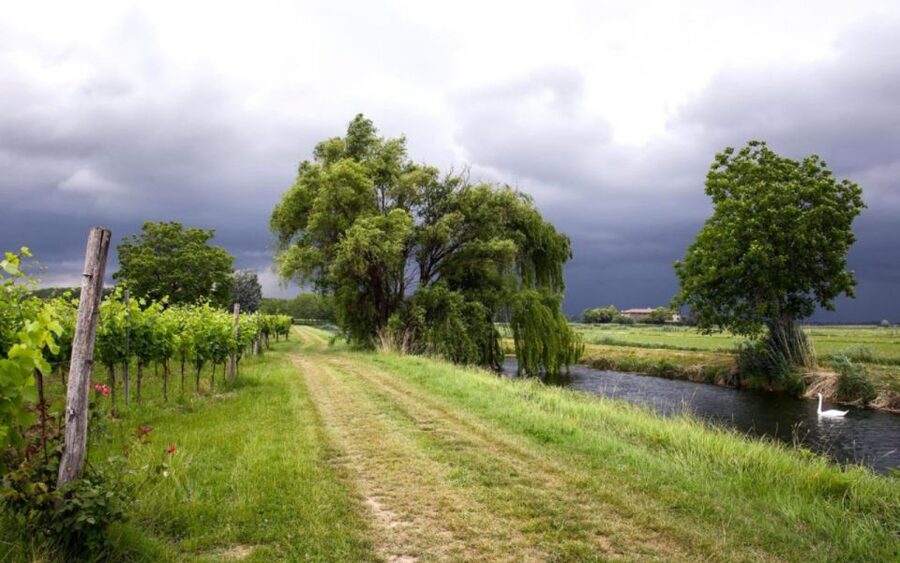 Aquileia: Winery Tour and Tasting - What the $46 price really covers