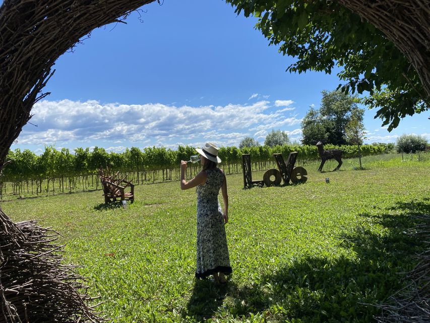 Aquileia: Winery Tour and Tasting - Starting among the vines with Francesco