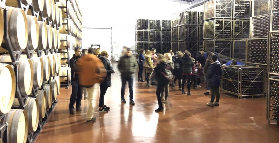 Aranda de Duero: Martín Berdugo Winery - Tour and Tasting - A vineyard visit with the winery next door