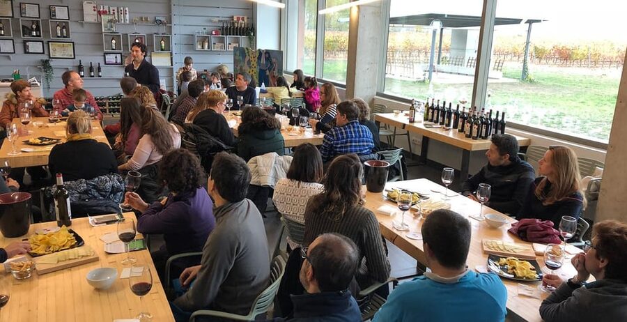 Aranda de Duero: Martín Berdugo Winery - Tour and Tasting - Who will enjoy this wine tour most