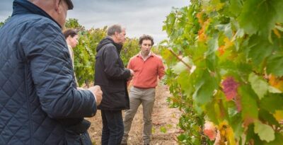Aranda de Duero: Martín Berdugo Winery – Tour and Tasting
