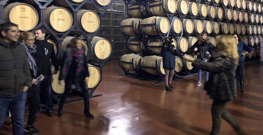 Aranda de Duero: Martín Berdugo Winery - Tour and Tasting - Should you book Martín Berdugo?