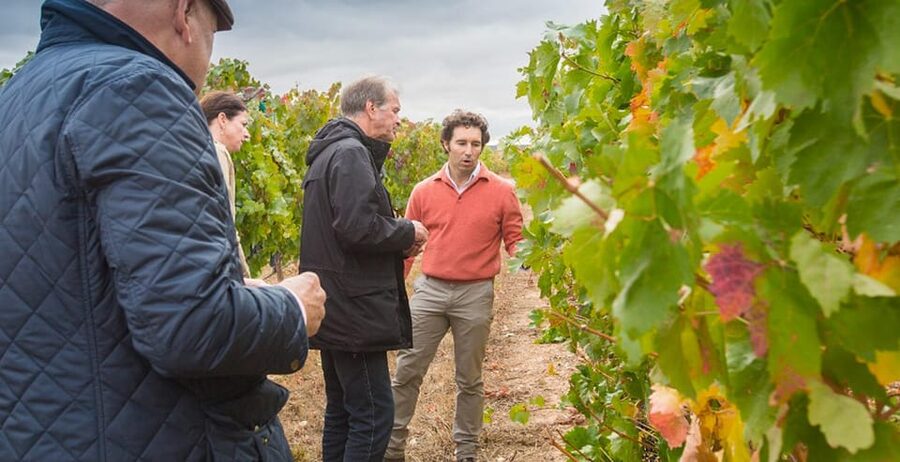 Aranda de Duero: Martín Berdugo Winery - Tour and Tasting - The barrel cellar and the quiet part of wine production