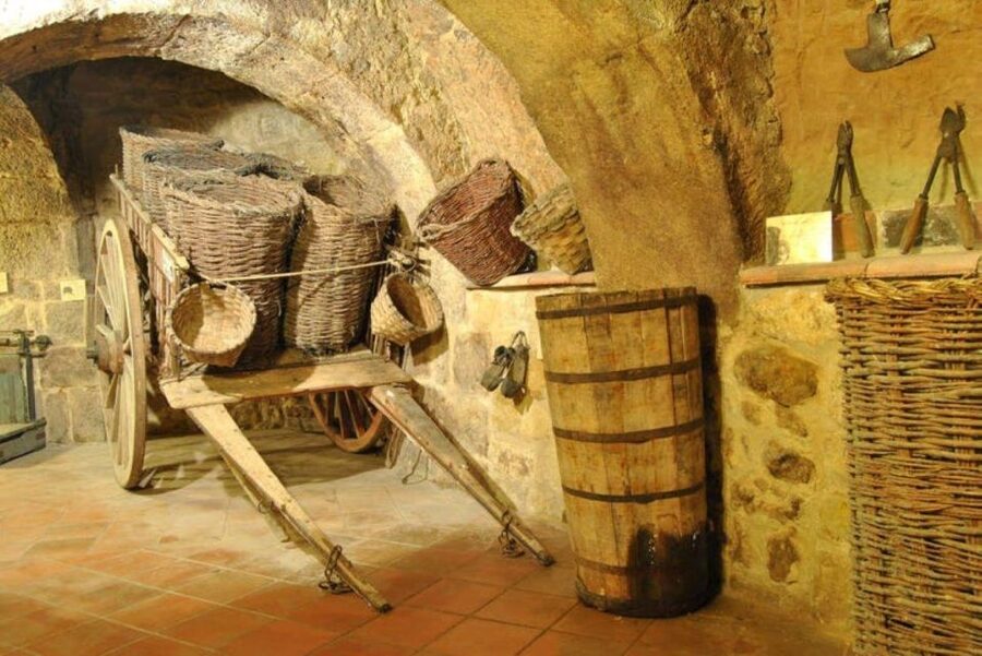 Aranda de Duero: Tour of Underground Cellar and Wine Museum - Key points to know before you book