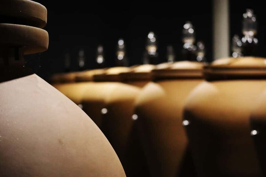 Ardèche: Cellar tour and tasting of the range - The 15-vintage tasting