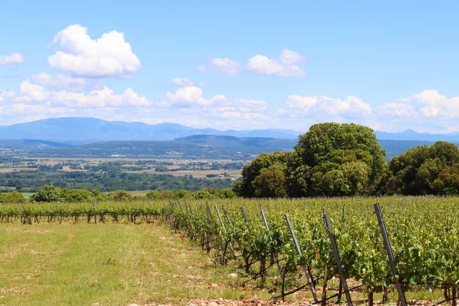 Ardèche: Cellar tour and tasting of the range - Should you book this Ardèche wine experience?
