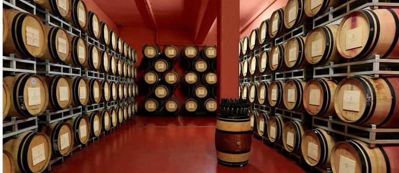 Arezzo Experience: Winery Tour and Wine Tasting - Why San Fabiano is more than a standard wine tasting