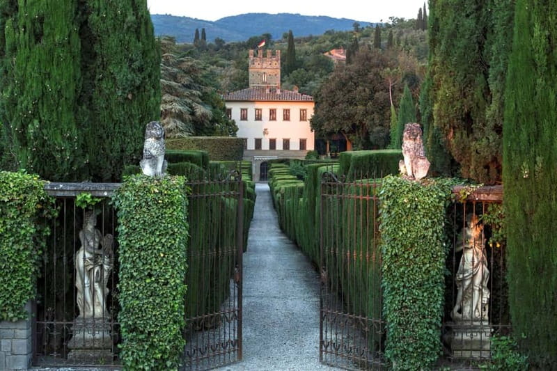 Arezzo Experience: Winery Tour and Wine Tasting - The family story behind the wine