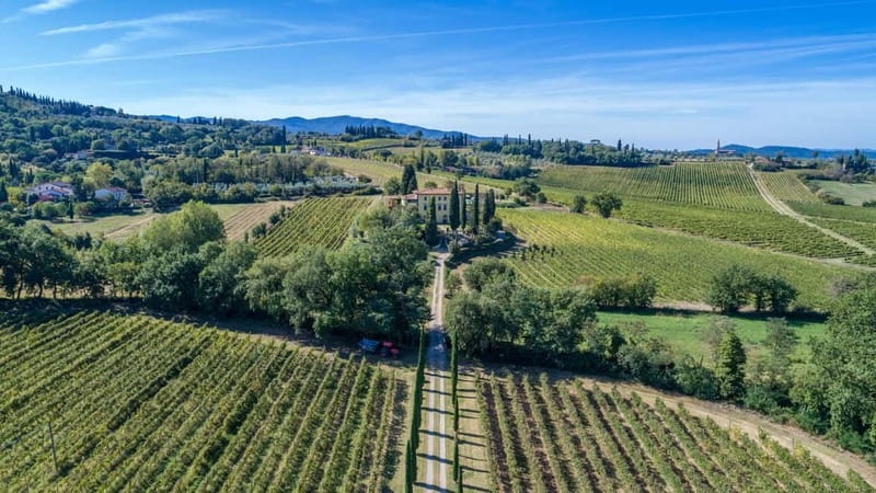 Arezzo Experience: Winery Tour and Wine Tasting - What the 1.5 to 2 hours feels like