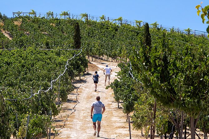 “ARISMARI” – Vineyard Tour & Wine Tasting - Key points to know before you book