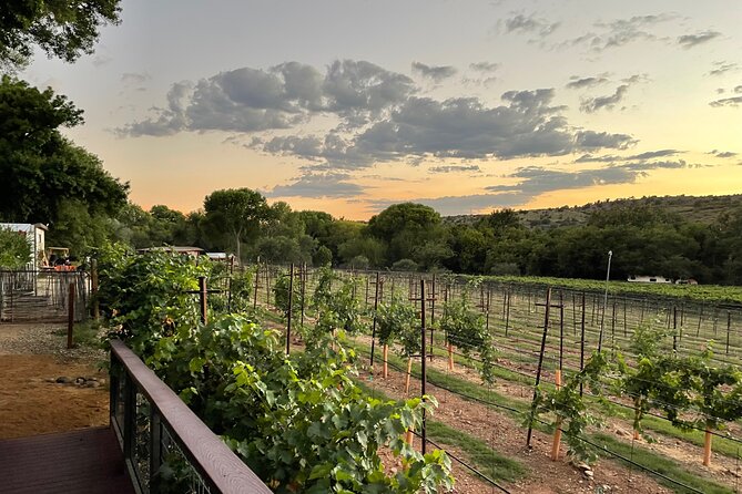 Arizona Winery All-Inclusive Tour with Lunch & Tastings - Key points before you book