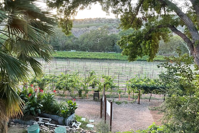 Arizona Winery All-Inclusive Tour with Lunch & Tastings - Oak Creek Vineyards brings patio time