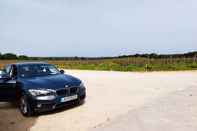 Arrábida Wine Tour - 3 Wineries, Traditions & Views from Lisbon - Key points to know before you book