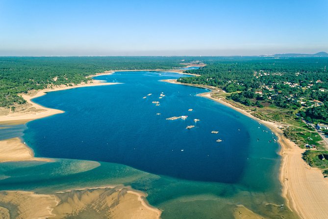 Arrabida Wine Tour from Lisbon: Wineries, Tastings & Tile Factory - From Lisbon to Azeitão Across the April 25 Bridge