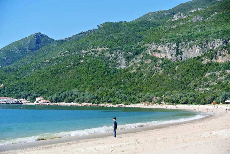 Arrabida Wine Tour - Lisbon: Wineries-Tastings-Tile Factory - Meeting near Restauradores and crossing the Tejo