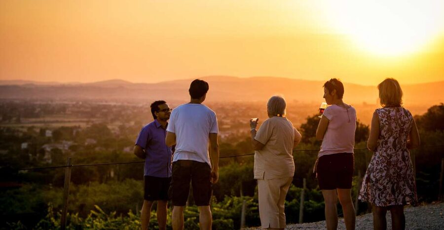 Assisi: Organic Winery Tour with Tastings & Typical Food - A Family Winery Above Assisi