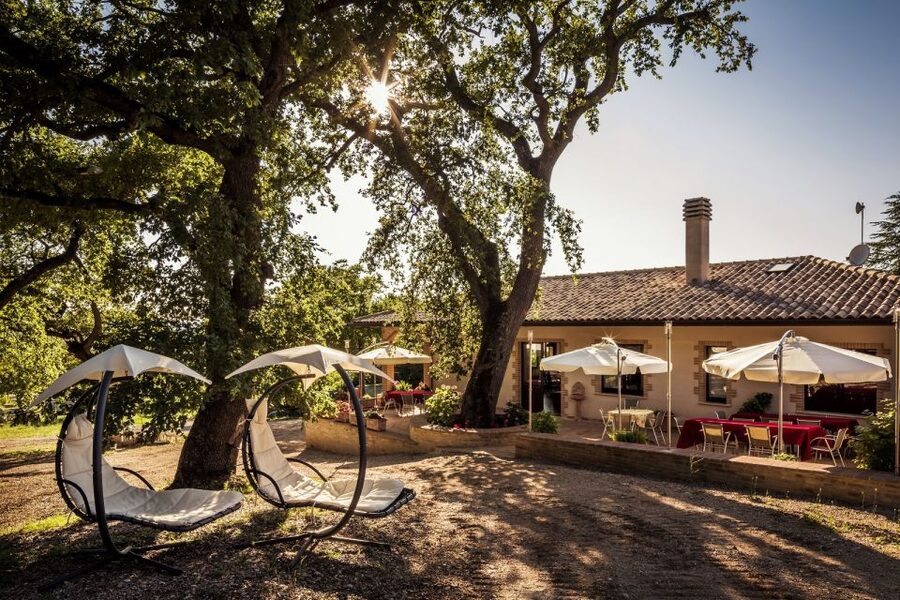 Assisi: Organic Winery Tour with Tastings & Typical Food - What the $46 Price Really Buys