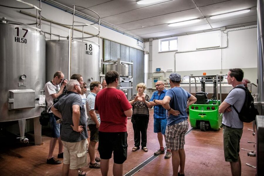 Assisi: Organic Winery Tour with Tastings & Typical Food - Who Will Enjoy TILI 21 Most