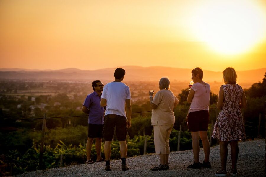 Assisi: Organic Winery Tour with Tastings & Typical Food - Five Wines, Not Just Five Pours