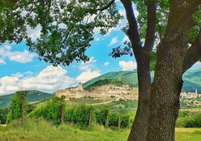 Assisi: Wine tasting, gourmet pairing, walk in the vineyards
