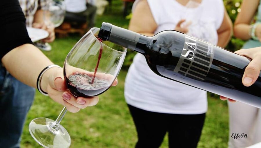 Assisi: Wine tasting, gourmet pairing, walk in the vineyards - The vineyard path and its information boards