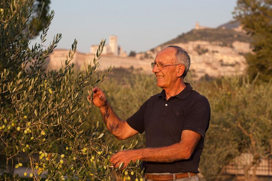 Assisi: Wine tasting, gourmet pairing, walk in the vineyards - Practical details that affect your visit