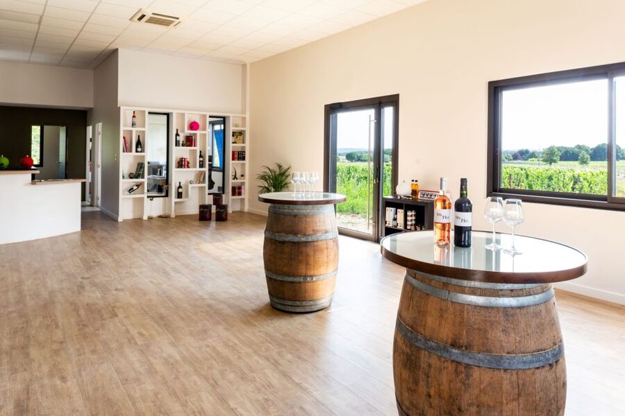 At the gates of Toulouse: from the vine to the cellar - Key points at a glance