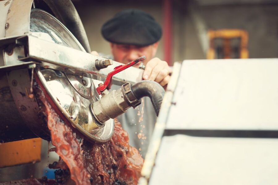 At the gates of Toulouse: from the vine to the cellar - Inside the cellar: from fermentation to aging