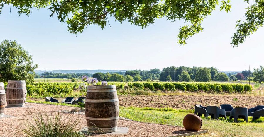 At the gates of Toulouse: from the vine to the cellar - Starting with the estate and vineyard