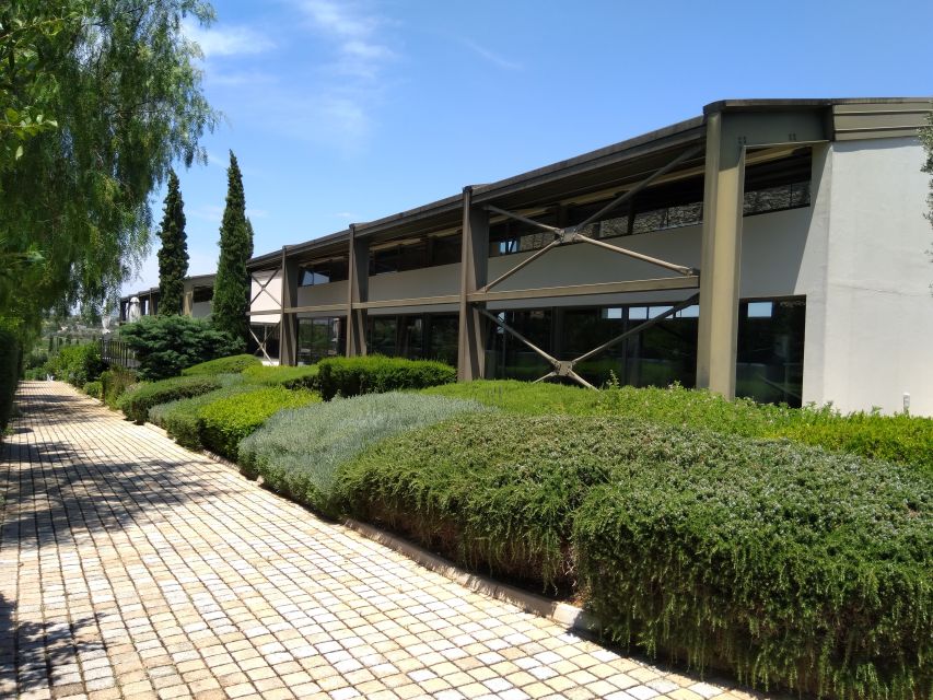 Athens Winery Tour - Leaving Athens for the vineyards of Attica