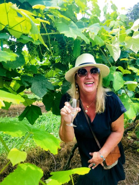 Atlanta pickups: North Georgia Wine Country 3 Vineyard Tour - How to prepare for a better tasting day