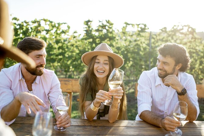 Atlanta Vineyards and Wines Full-Day Private Tour - Key points at a glance