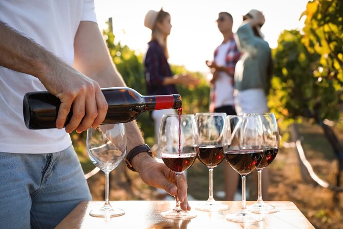 Atlanta Vineyards and Wines Full-Day Private Tour - What the long day feels like