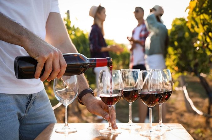 Atlanta Vineyards and Wines Full-Day Private Tour - Is a private wine day worth $1,578.64?