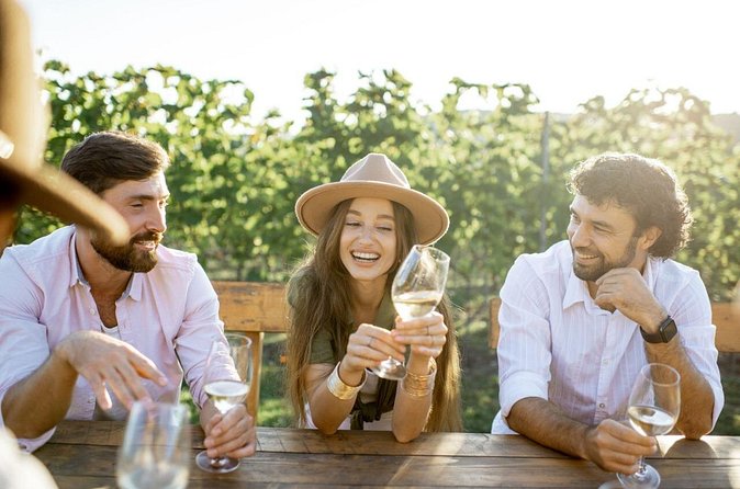 Atlanta Vineyards and Wines Full-Day Private Tour - Who should book this tour