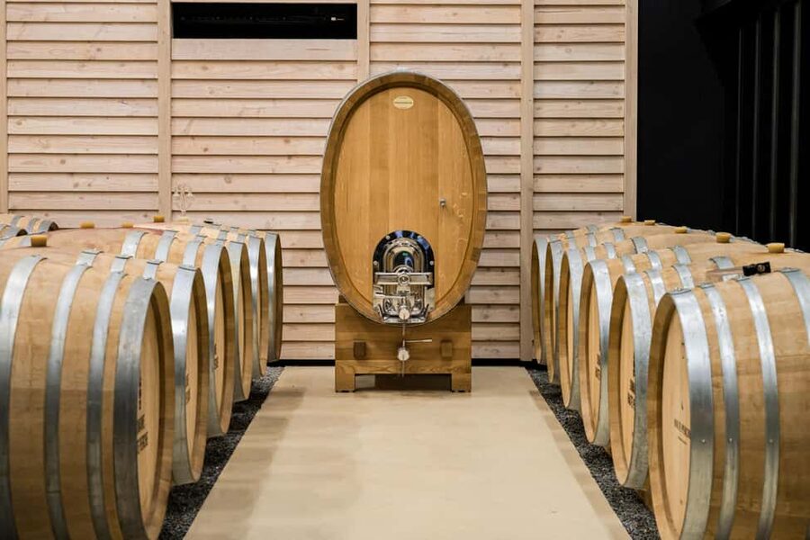 Aubance: Tour and Tasting at Domaine de Haute Perche - Key points to know before you go