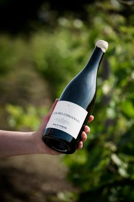 Aubance: Tour and Tasting at Domaine de Haute Perche - What makes the $17 price worthwhile