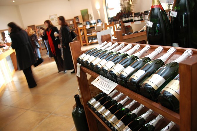 Auckland City Tour & Kumeu Wine Country Includes Wine Tastings & Lunch - Muriwai Beach and the gannet colony