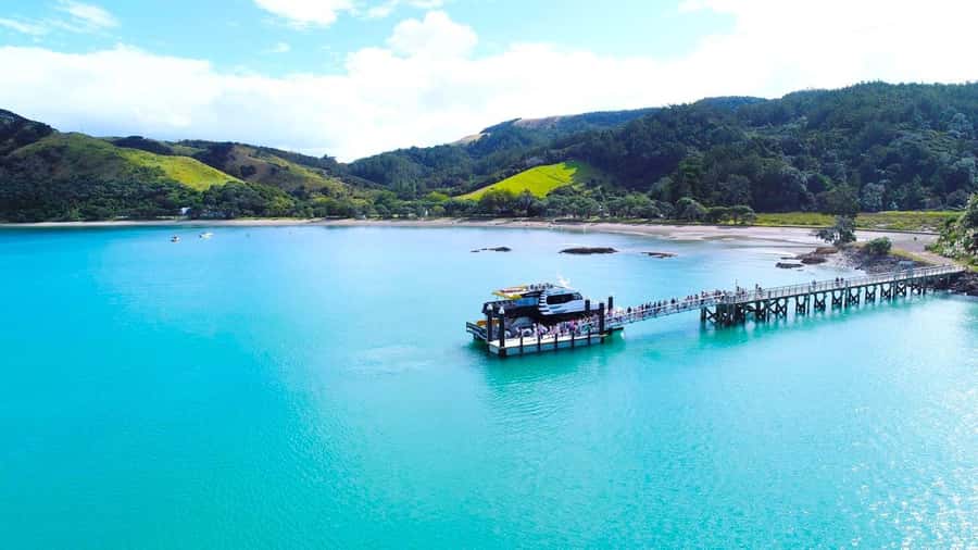Auckland: Man O' War Vineyard Ferry (Waiheke Island) - Why Man O’ War makes a good Waiheke day trip