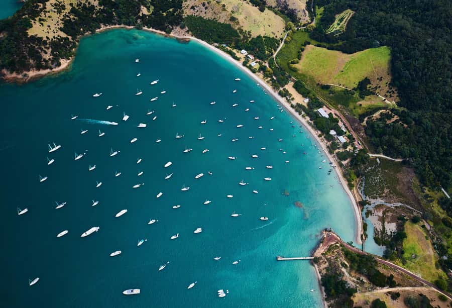 Auckland: Man O' War Vineyard Ferry (Waiheke Island) - Arriving at Man O’ War Vineyard and Man O’ War Bay
