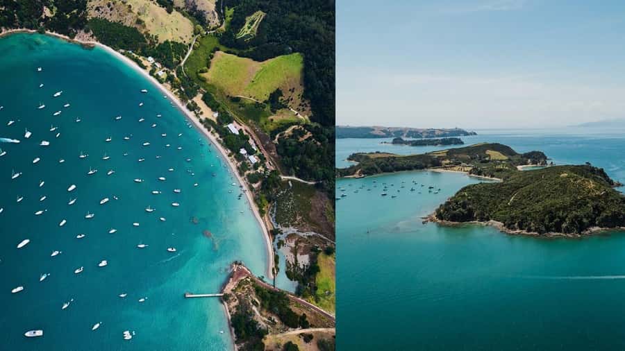 Auckland: Rotoroa Island and Man O'War Vineyard Combo Tour - The 15-minute crossing to Man O’ War