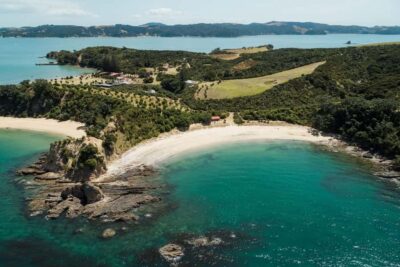 Rotoroa Island and Man O’War Vineyard Combo Tour