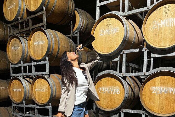 Auckland West Vineyard Tour with lunch and tastings incl - Crossing the Harbour Bridge into West Auckland wine country