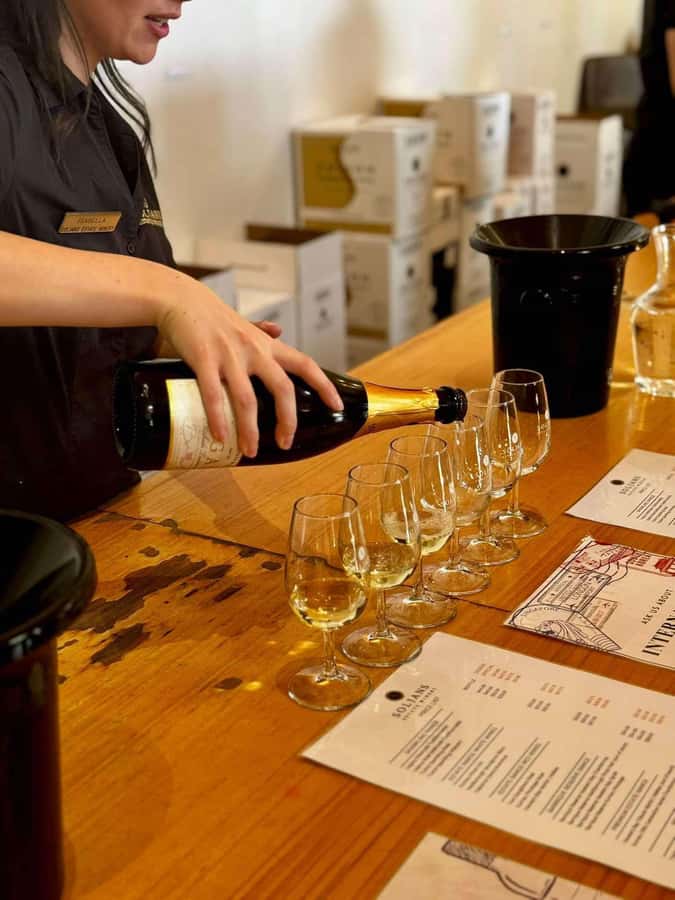 Auckland: Wine region tour with tastings and gourmet lunch - Westbrook Winery starts the tasting day