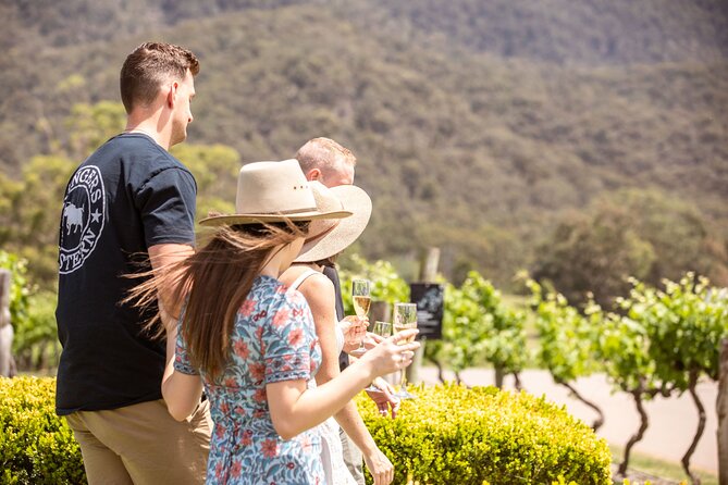 Audrey Wilkinson Vineyard: Picnic with Wine Masterclass Tasting - Price and value at $68.14